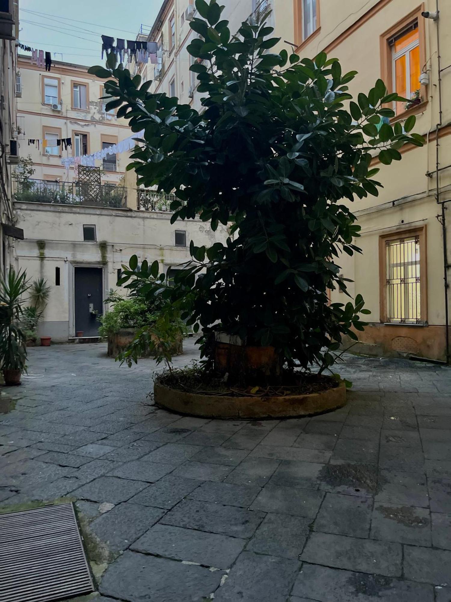 Momarooms Napoli Eksteriør billede